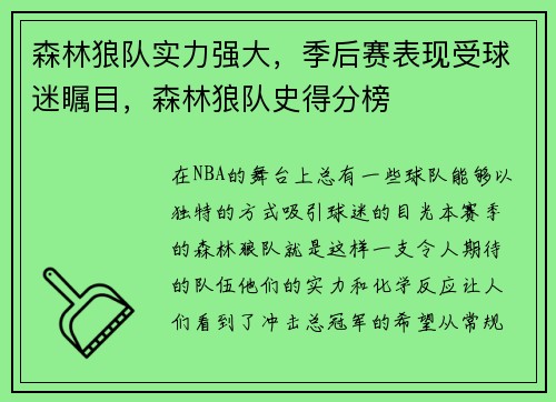 森林狼队实力强大，季后赛表现受球迷瞩目，森林狼队史得分榜