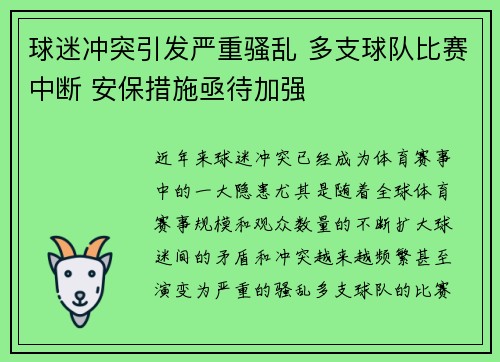 球迷冲突引发严重骚乱 多支球队比赛中断 安保措施亟待加强